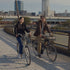 Kino in der Scheune - PERFECT DAYS von Wim Wenders