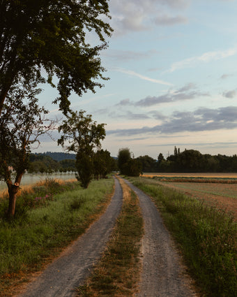 SinnesWandel – mit Iris