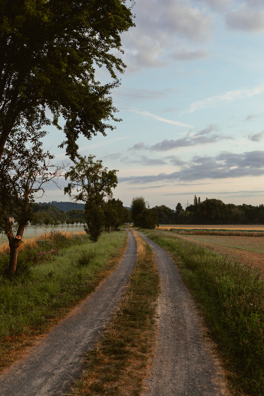 SinnesWandel – mit Iris