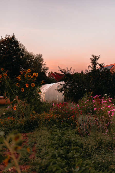 Garten & Grünzeug
