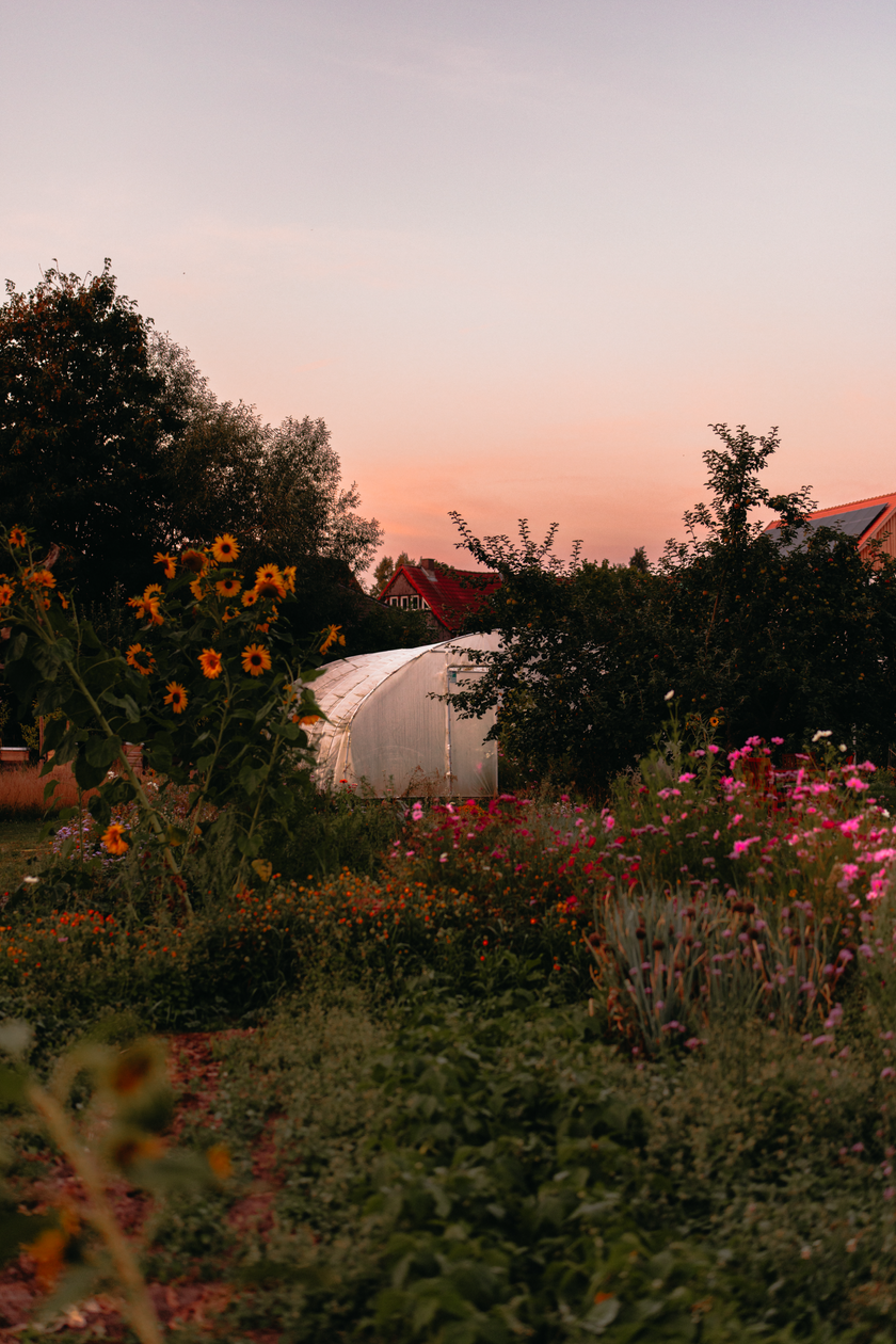 Offener Garten