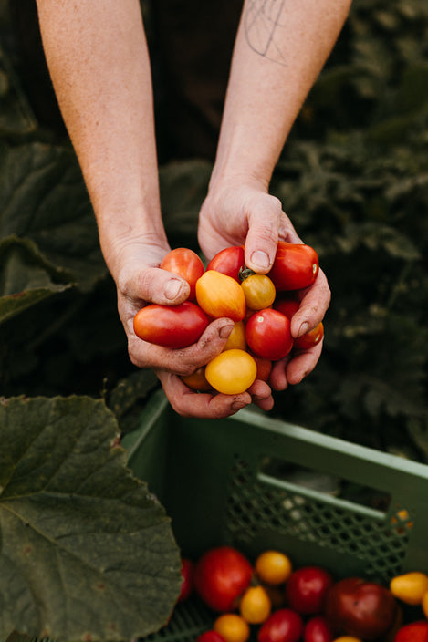 template--26330274922828__lookbook_i36dQ7