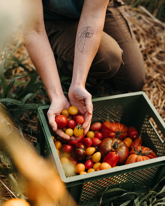Event: Tomatenfest am Siebenhof