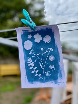 Sommerwerkstatt: Cyanotypie - Blaudruck mit Pflanzen