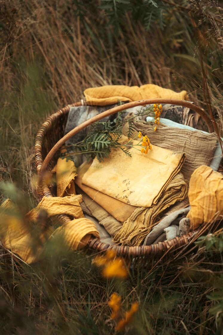 Färben mit Pflanzen - mit Sonja Peel