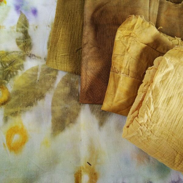 Färben mit Pflanzen - mit Sonja Peel