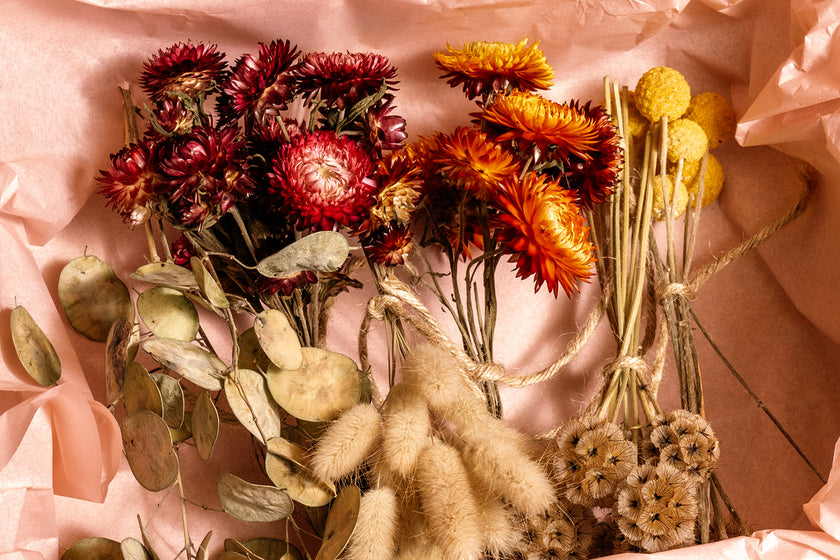 Trockenblumen DIY-Set