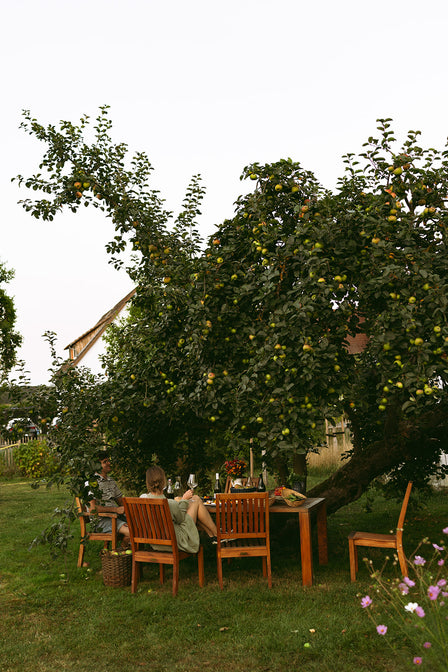 alkohol alternative schaumwein deutschland nachhaltig biologisch