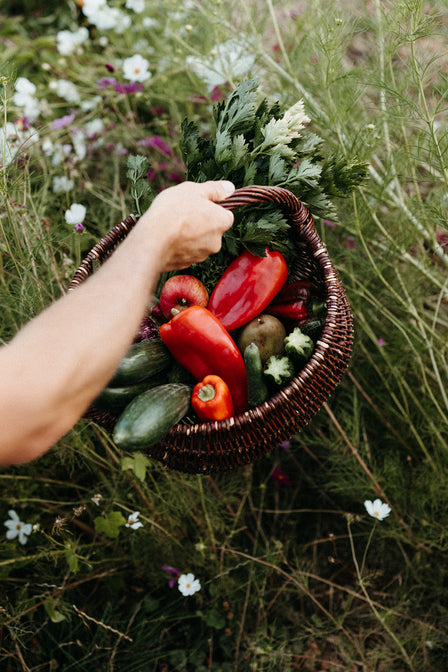 ausflugsziele deutschland hessen wochenende