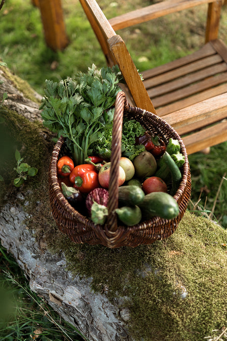 biokiste gemüse kaufen deutschland hessen marburg
