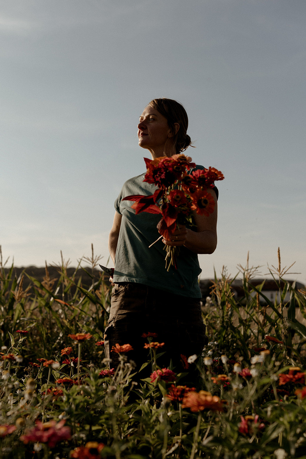 Trockenblumen vom Siebenhof – Natürlich, regional & haltbar schön