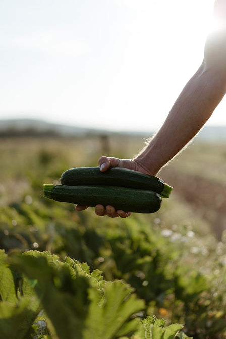 bioland landwirtschaft siebenhof deutschland