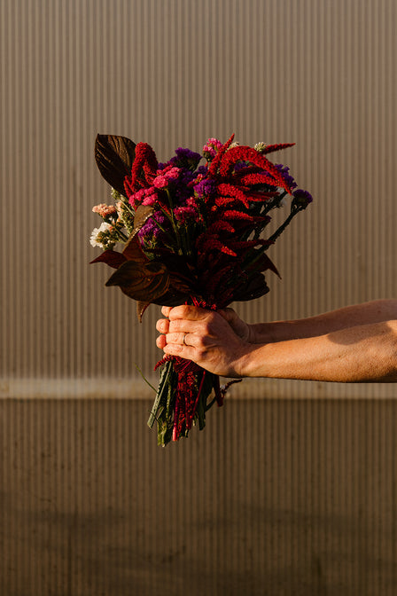 biologische trockenblumen kaufen deutschland
