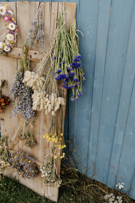 biologische trockenblumen slowflowers siebenhof