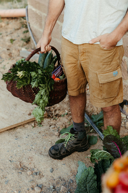 cooler bauernhof bioland deutschland