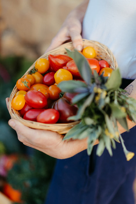 deutsche tomaten kaufen hessen