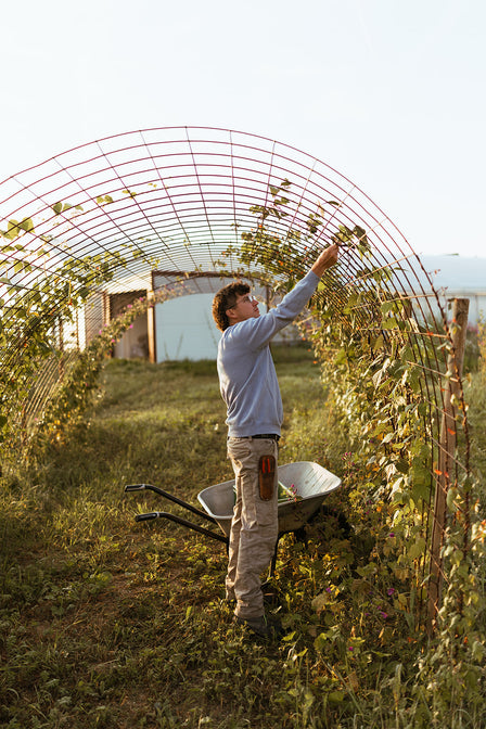 erlebnishof landwirtschaft workshops deutschland