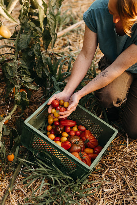 frisches bioland gemüse kaufen hessen marburg 