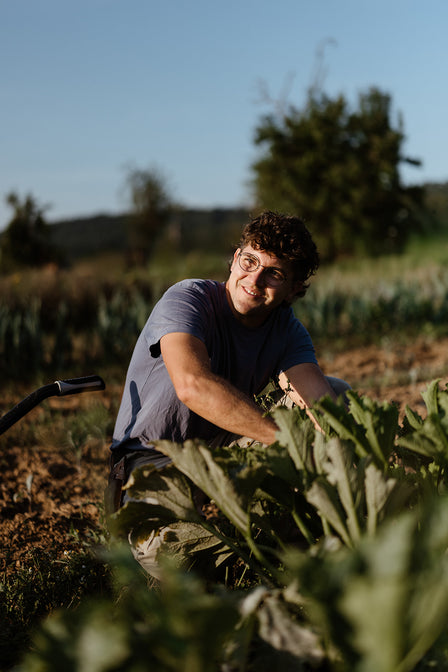 frisches biogemüse wochenende hessen