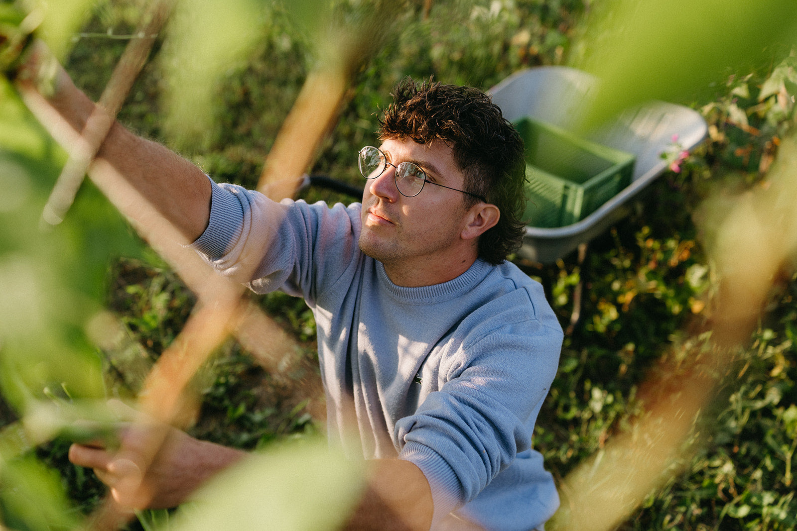 jobs bioland landwirschaft gemüse verkauf marketing