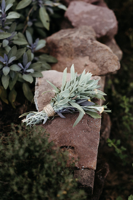 kräuter workshop siebenhof buchen online