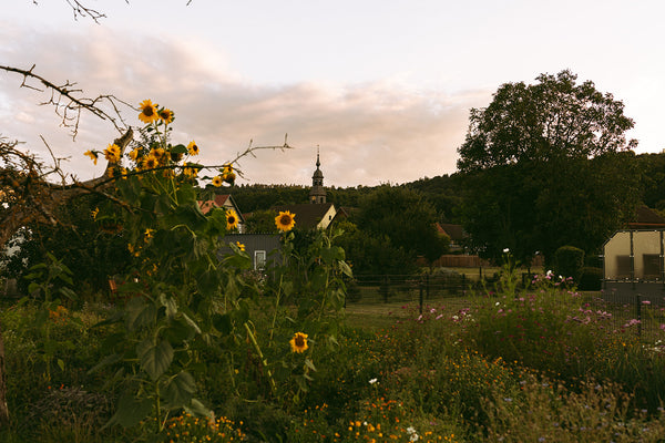 marburg ginseldorf siebenhof besuchen