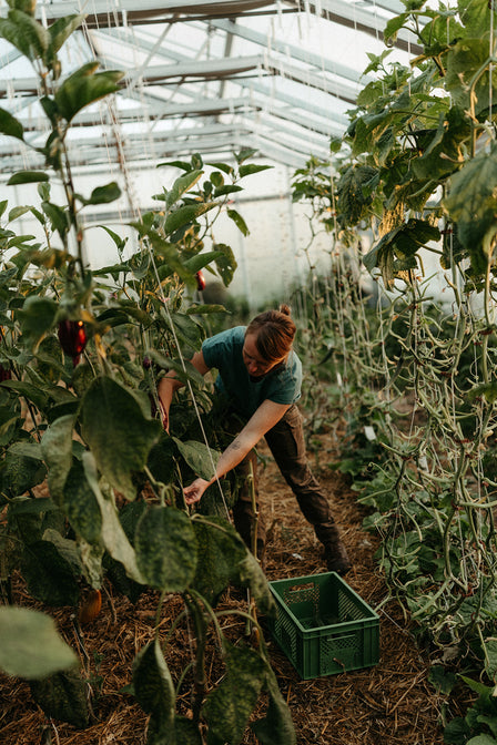 markt gemüse kaufen hessen