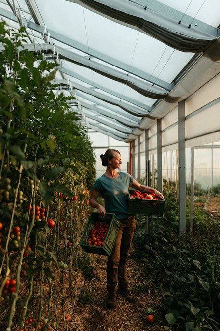 moderne landwirtschaft nachhaltig siebenhof