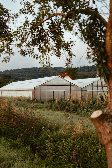 nachhaltig einkaufen hessen marburg