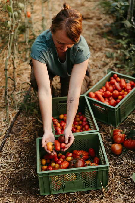 nachhaltige landwirtschaft deutschland