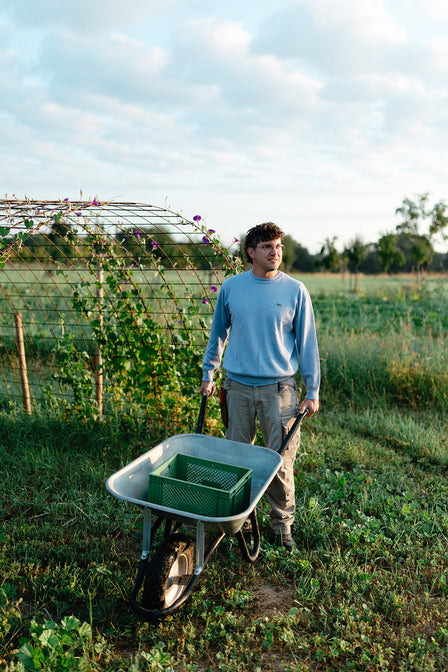 nachhaltige lebensmittel kaufen deutschland