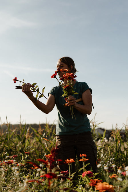 nachhaltige trockenblumen online kaufen