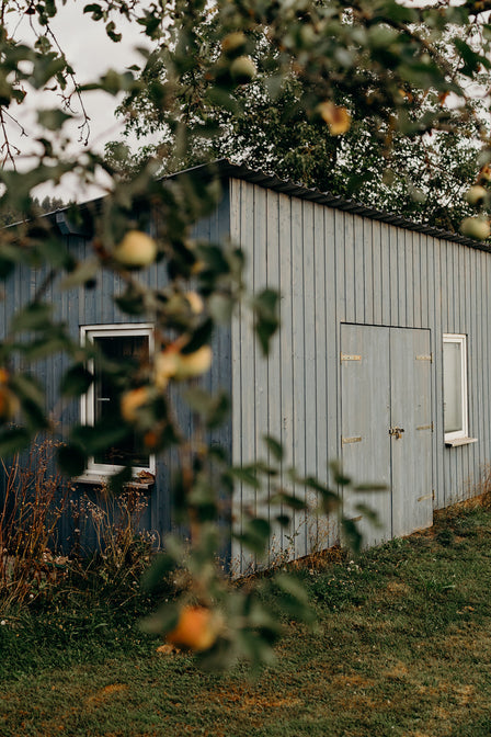 nachhaltigkeits workshops marburg siebenhof