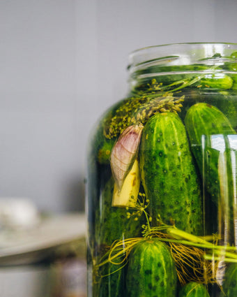 Grundlagen der Gemüsefermentation - mit Lucie von living jars