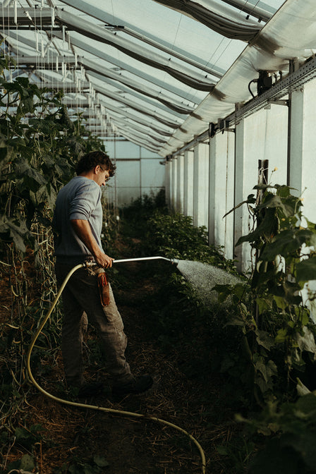 regionale lebensmittel hessen