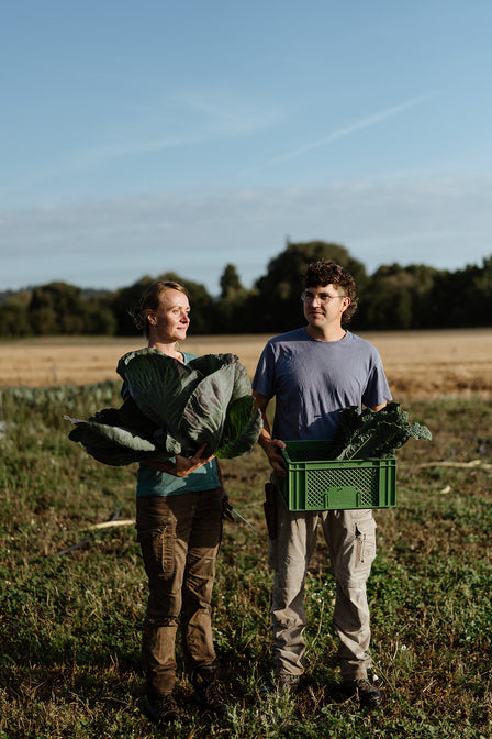 seven invest deutschland bioland gemüsehof