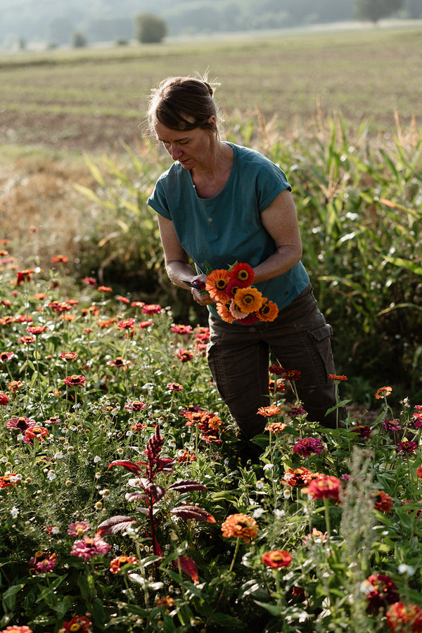 slowflowers nachhaltig fair trockenblumen siebenhof