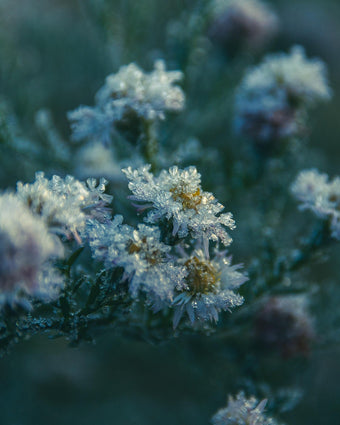 Winterruhe - mit Iris und Stephi