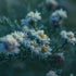 Winterruhe - mit Iris und Stephi